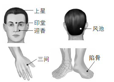 鼻塞、打鼾等鼻子問題的防治